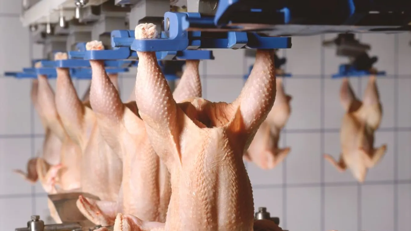 Csökkennek az őstermelők és a családi gazdaságok adminisztrációs terhei