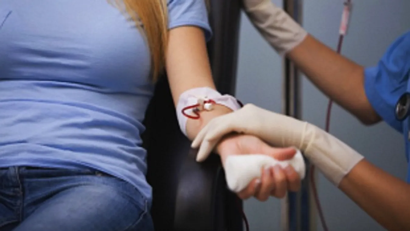 Véradásra buzdítja a fiatalokat a vöröskereszt