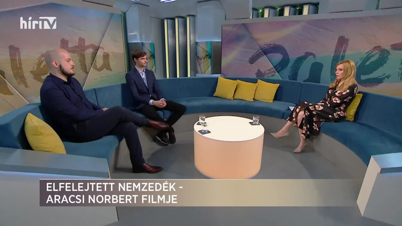 Paletta: Elfelejtett nemzedék – Aracsi Norbert filmje