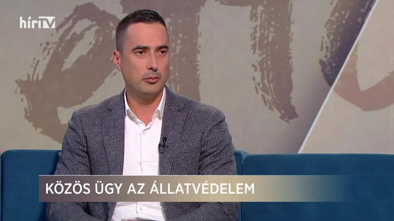 Paletta (2020-11-24)