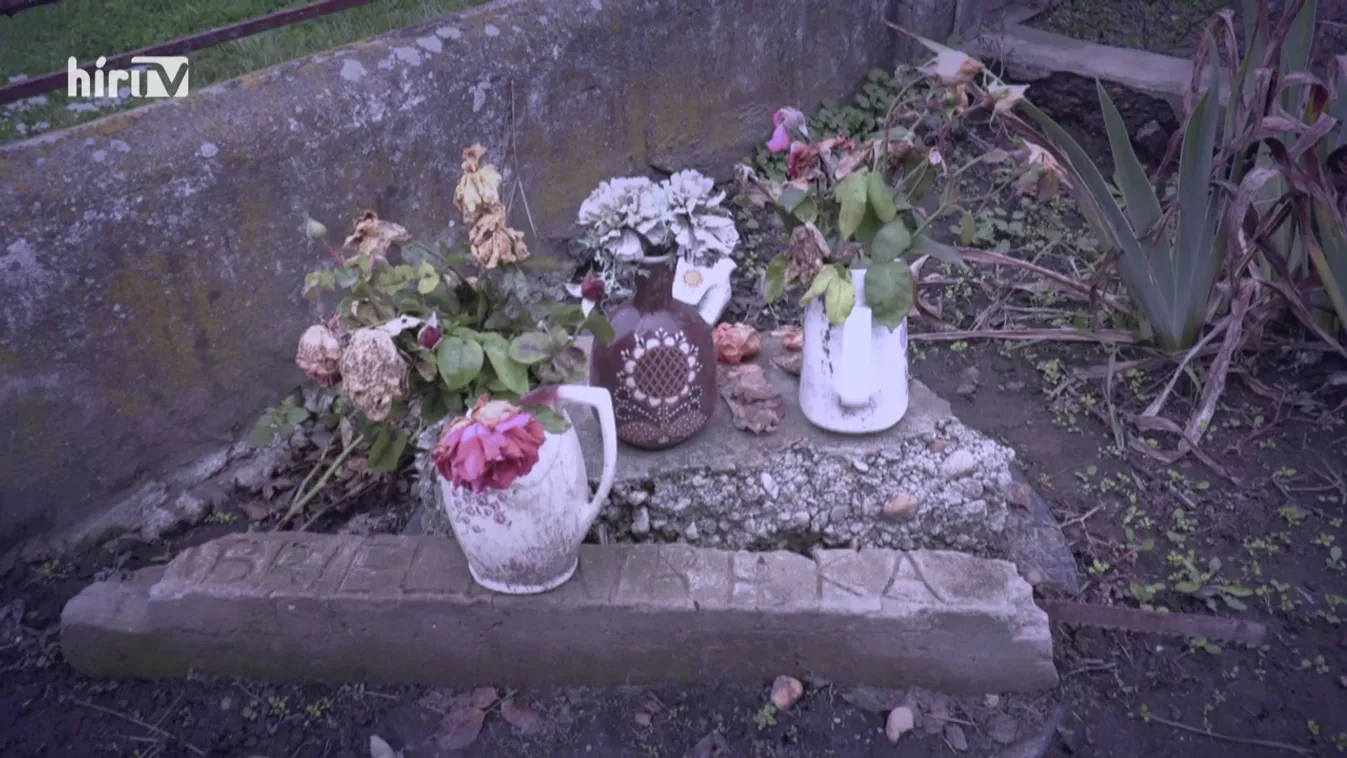 Riasztás: Féltestvére ölhette meg a kétéves Briant?