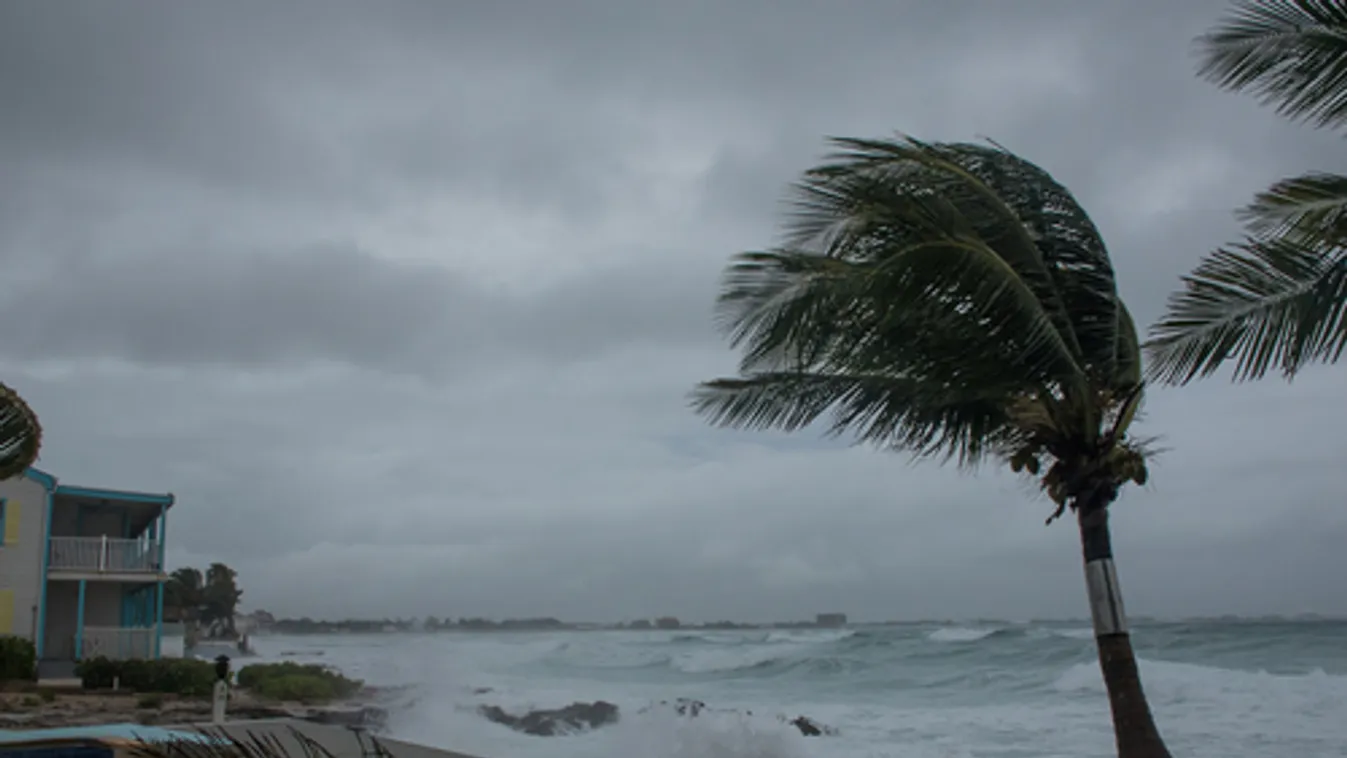 Lecsapott Miamira az Eta nevű vihar