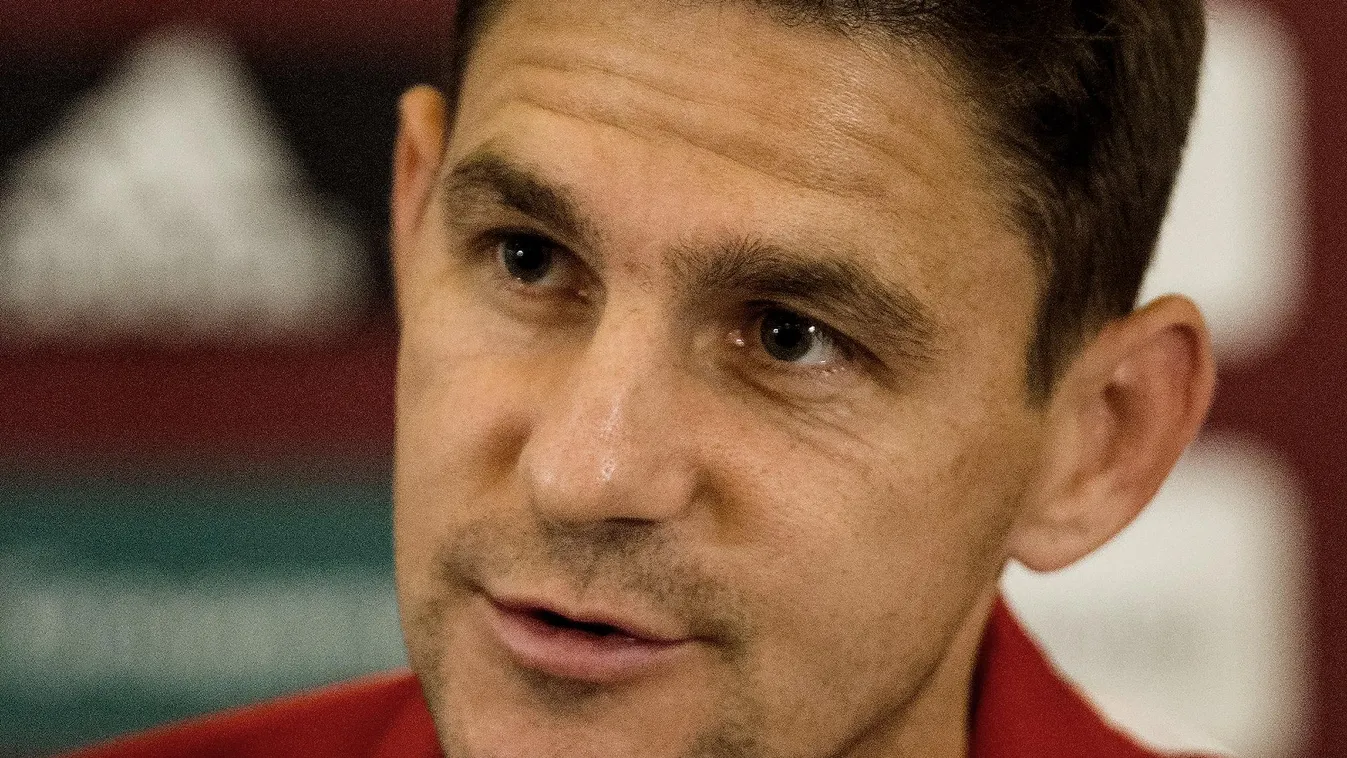 Magyarország-Izland Eb-pótselejtező mérkőzés