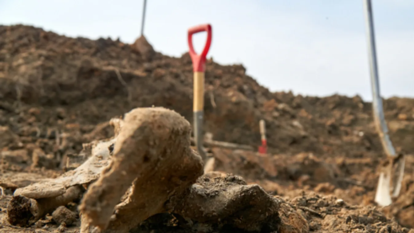 Feltételezett tömegsírt találtak Dél-Szerbiában