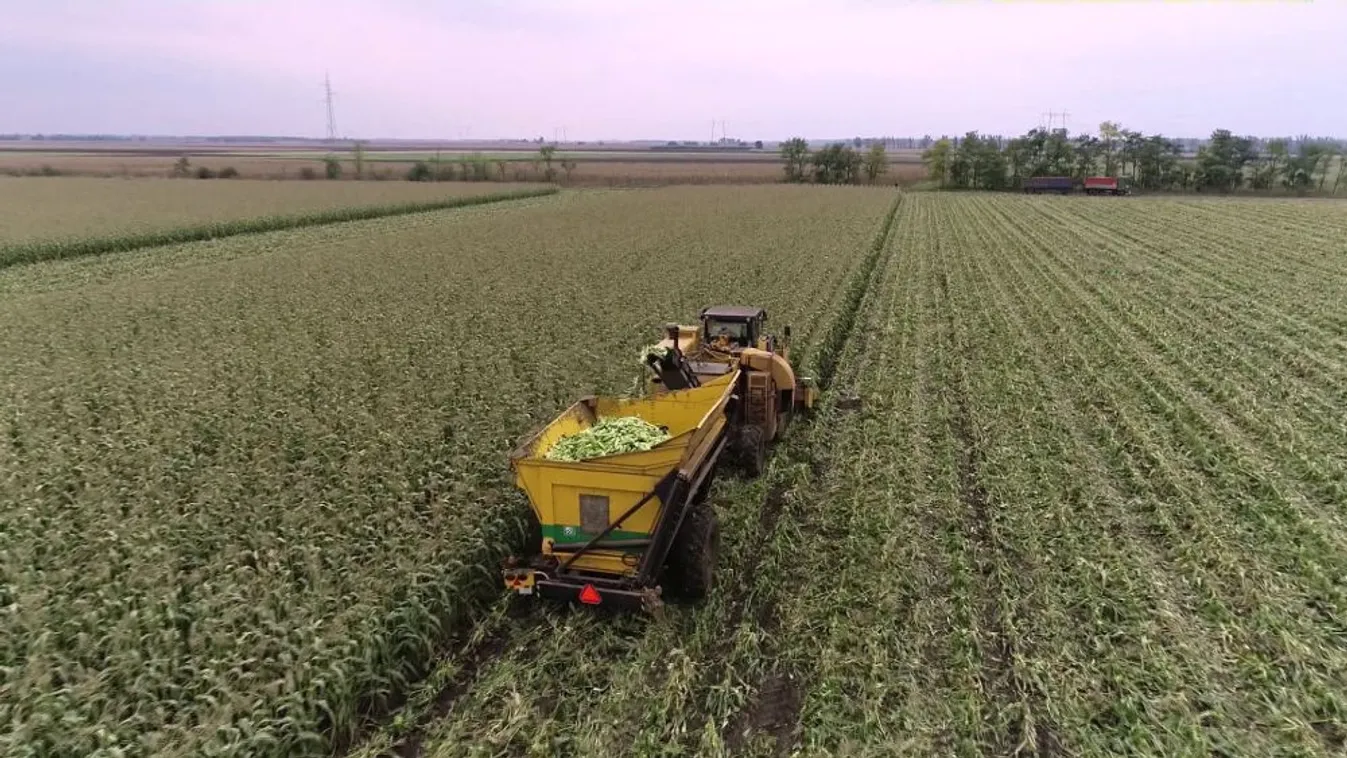 Soroló: A MAGOSZ határozottan a fiatal gazdák felé fordult