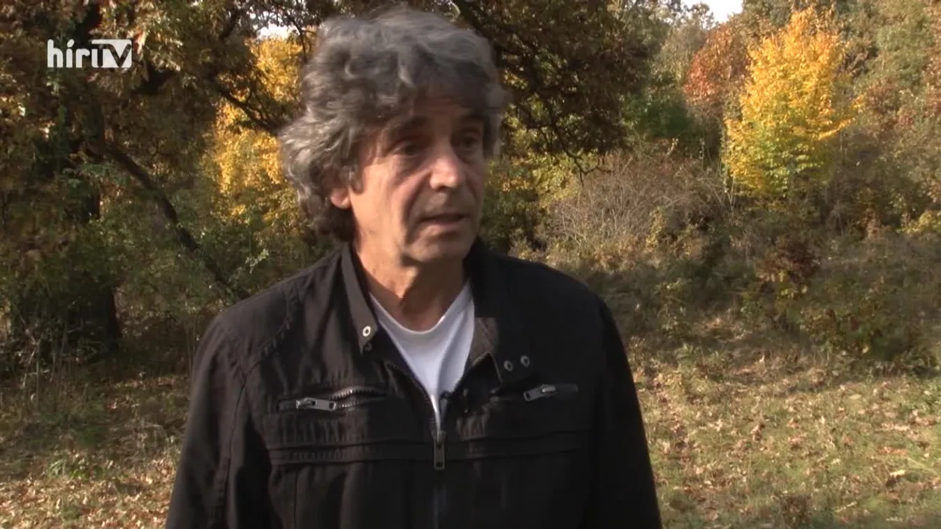 Zöldövezet: Szita Tamást Életfa Emlékplakettel tüntették ki