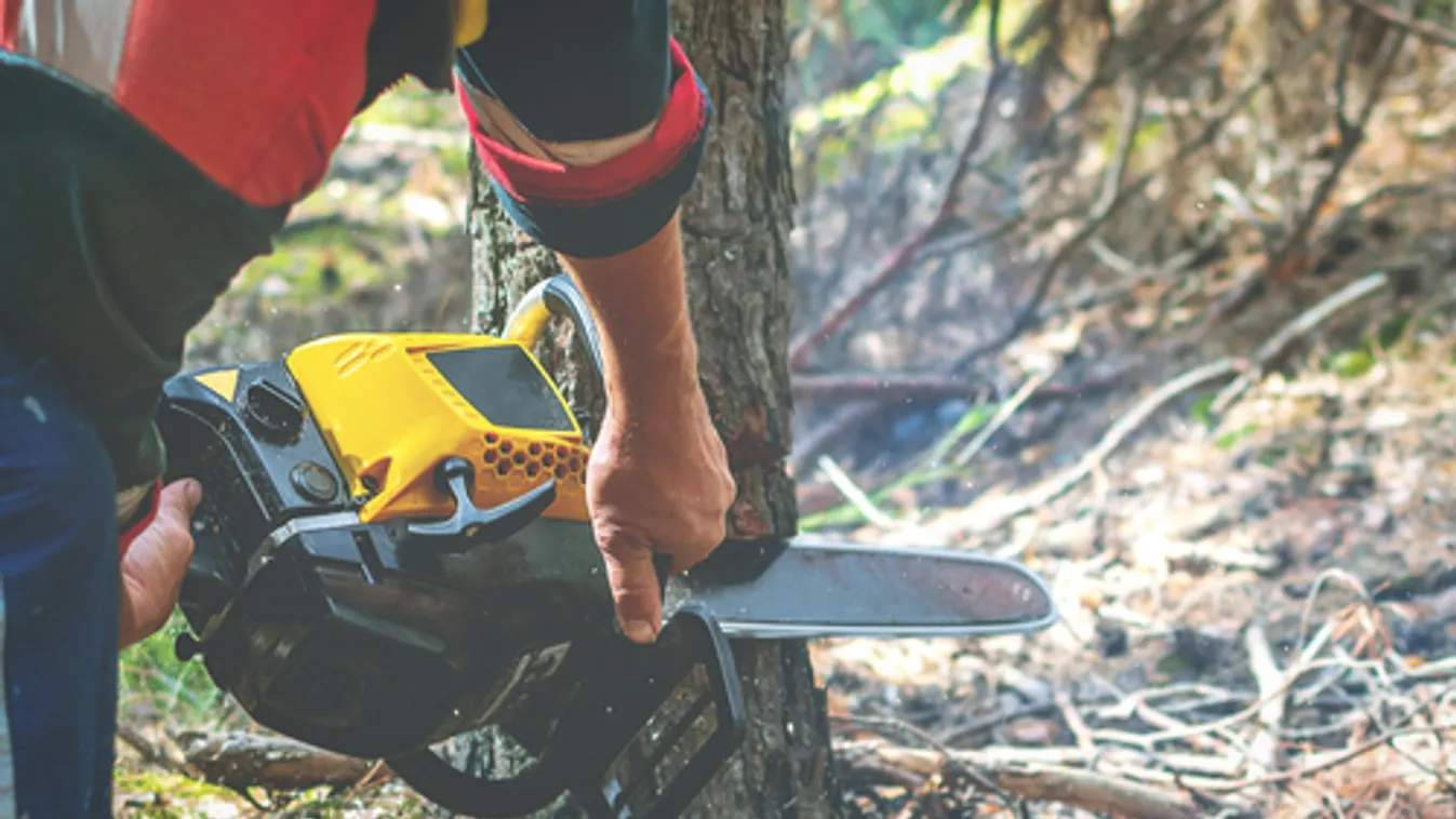 Kettős mérce a balliberális oldalon
