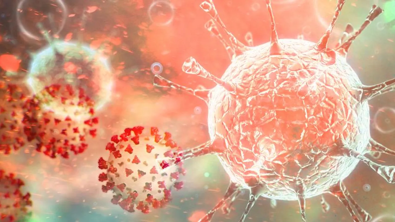 A fertőzöttek száma 57,5 millió, a halálos áldozatoké 1,37 millió a világon