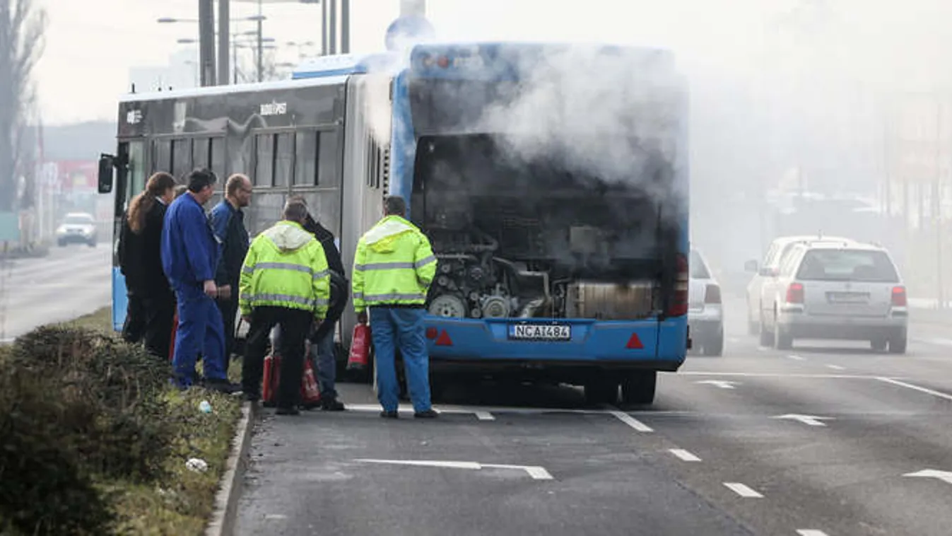 A referenciája is hamisított lehetett a buszos kamucégnek