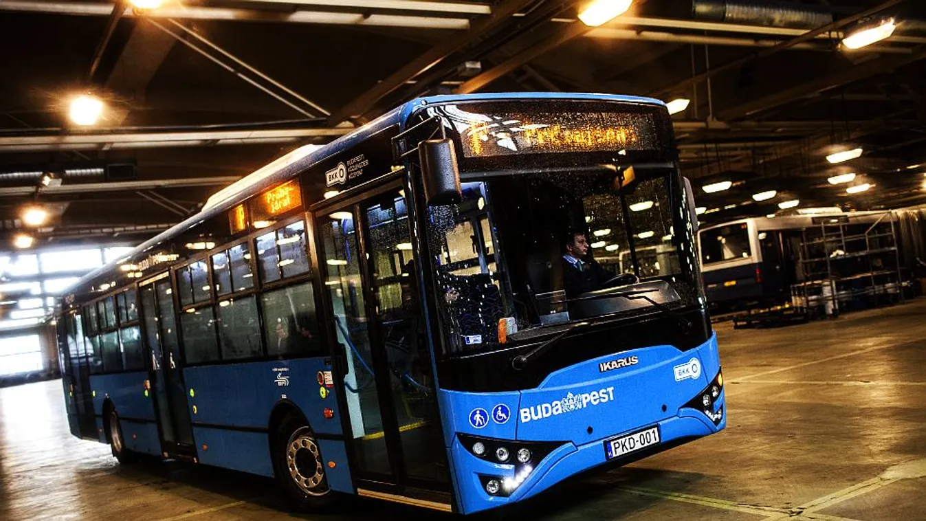 A BKV buszbérlési pályázata kezd tragikomédiába fulladni