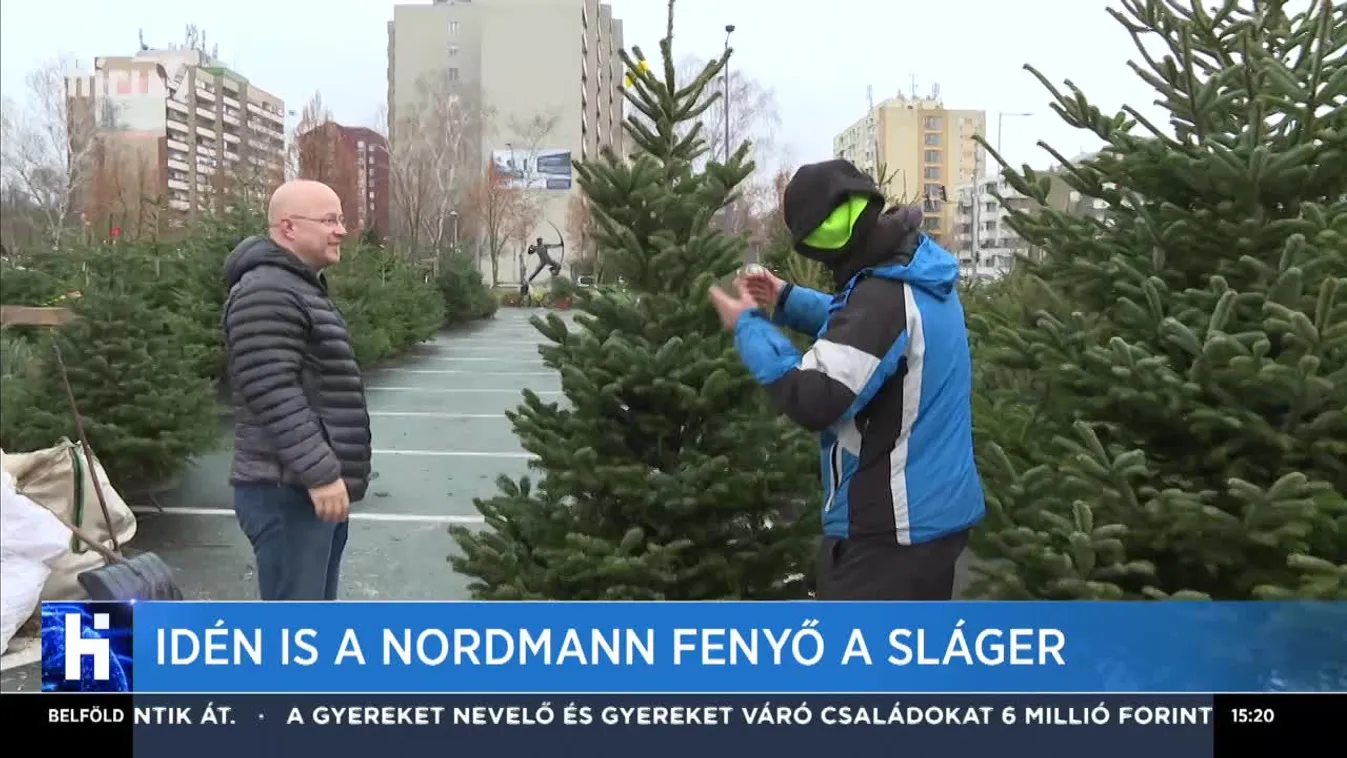 Idén is a nordmann fenyő a sláger