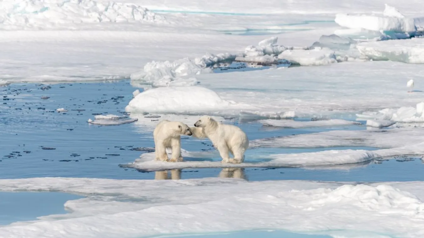 Az ENSZ-főtitkár éghajlati vészhelyzet elrendelésére kérte az országokat
