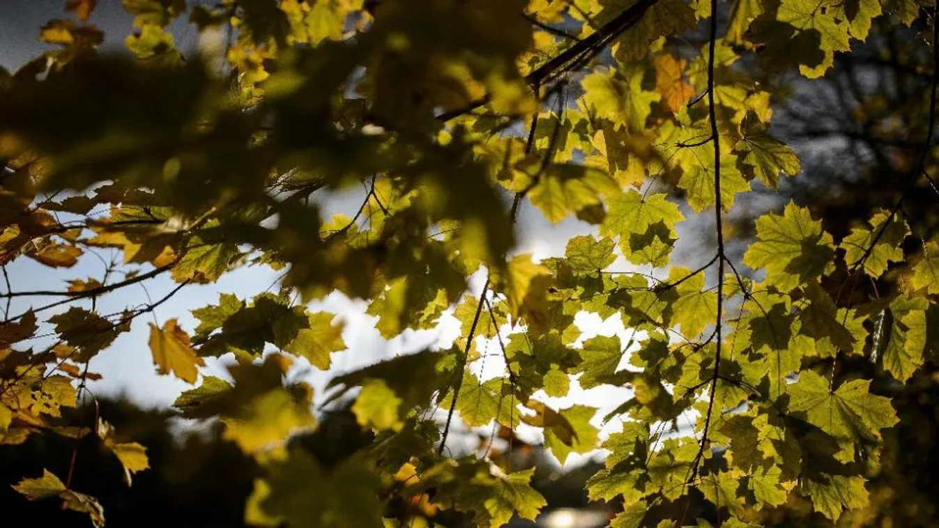 Melegebb volt az átlagnál az idei ősz
