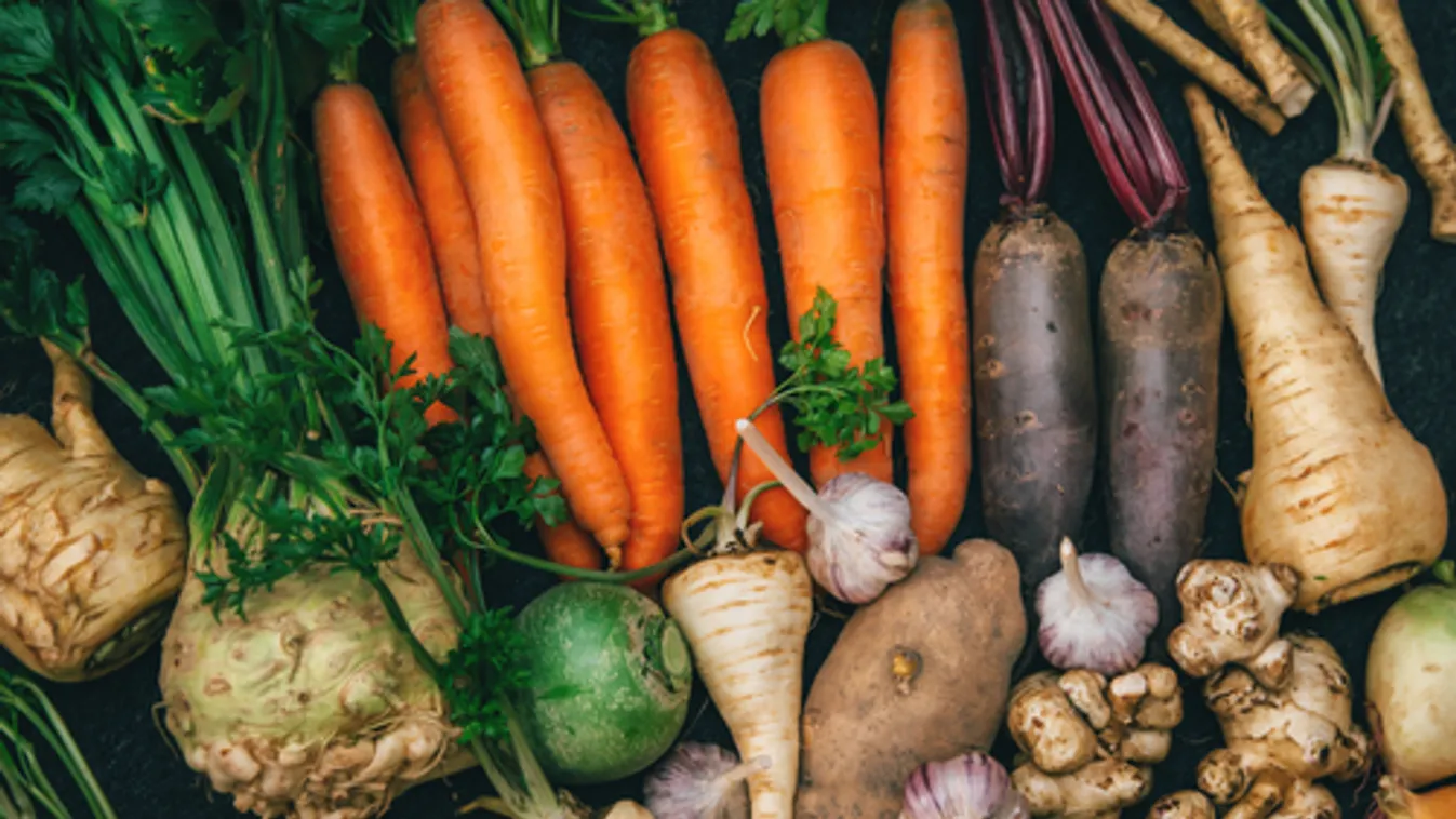 Ötvenmilliós kampánnyal zárja az évet a "Vedd a hazait! Védd a hazait!" akció