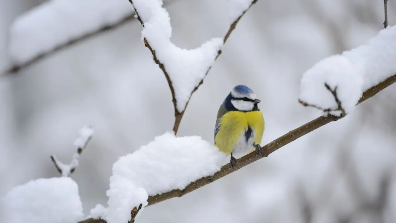 Helyenként 10-20 centiméteres hóréteg is kialakult