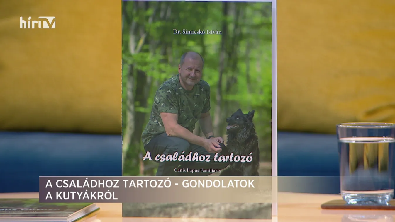 Paletta: Családhoz tartozó – gondolatok a kutyákról