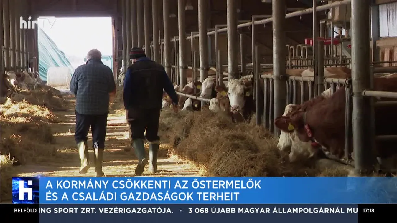 A kormány csökkenti az őstermelők és a családi gazdaságok terheit