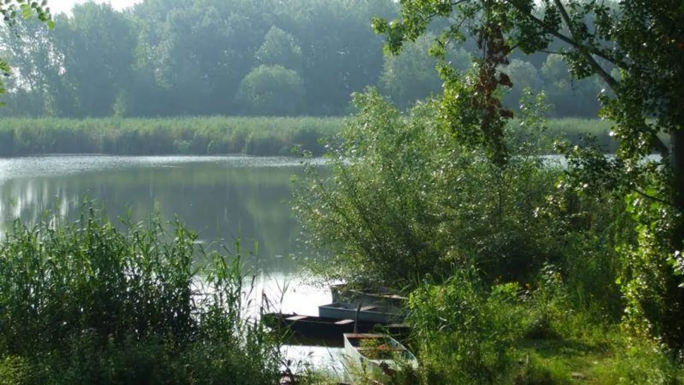 Motorcsónakos embercsempészt fogtak el a Tiszán Szegednél