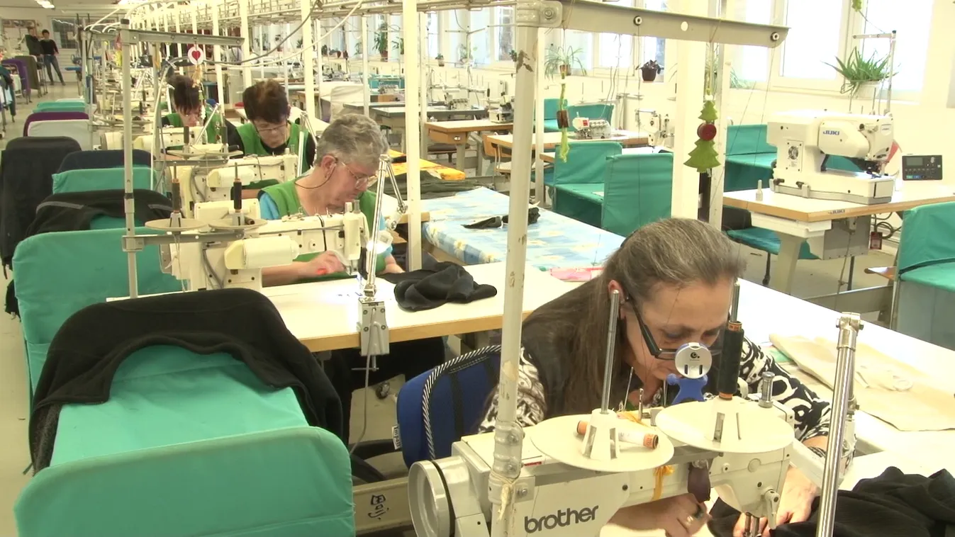 Munkavállalásra ösztönző lépések