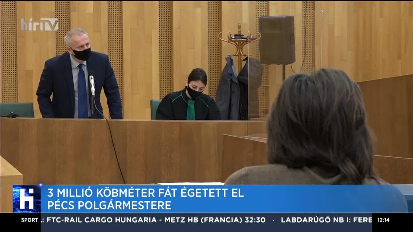 3 millió köbméter fát égetett el Pécs polgármestere