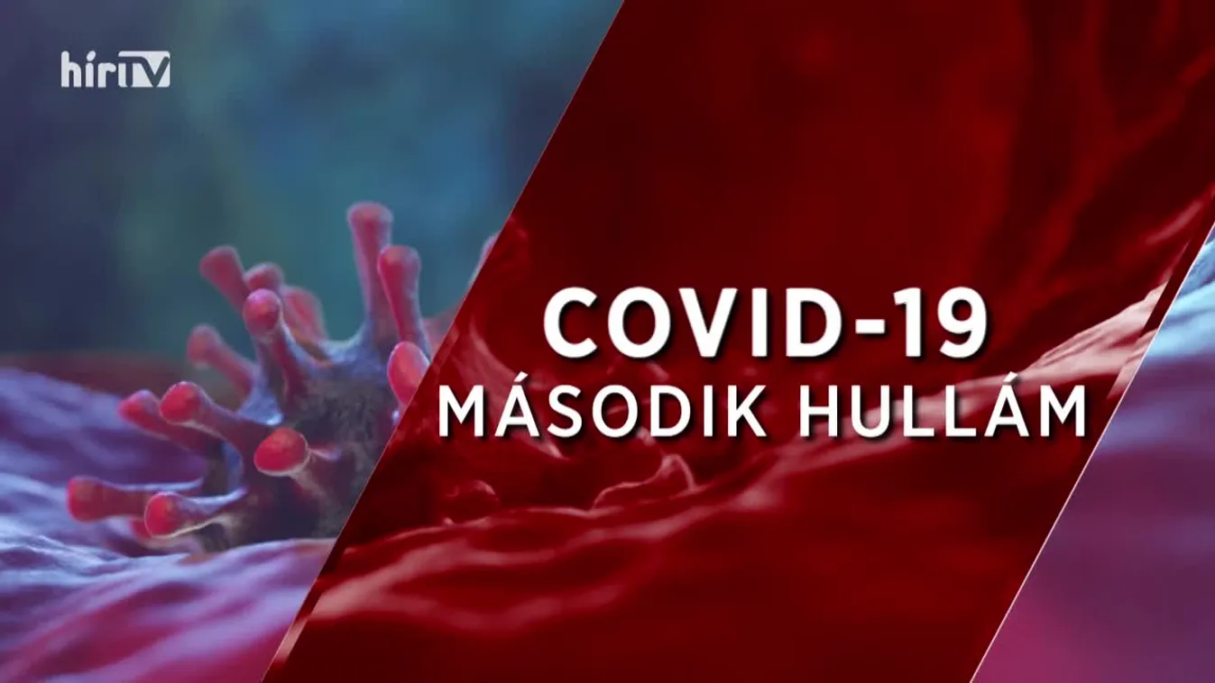 Magyarország élőben extra: Zöldhegyi Katalin tudósítása Brüsszelből (2021-01-18)