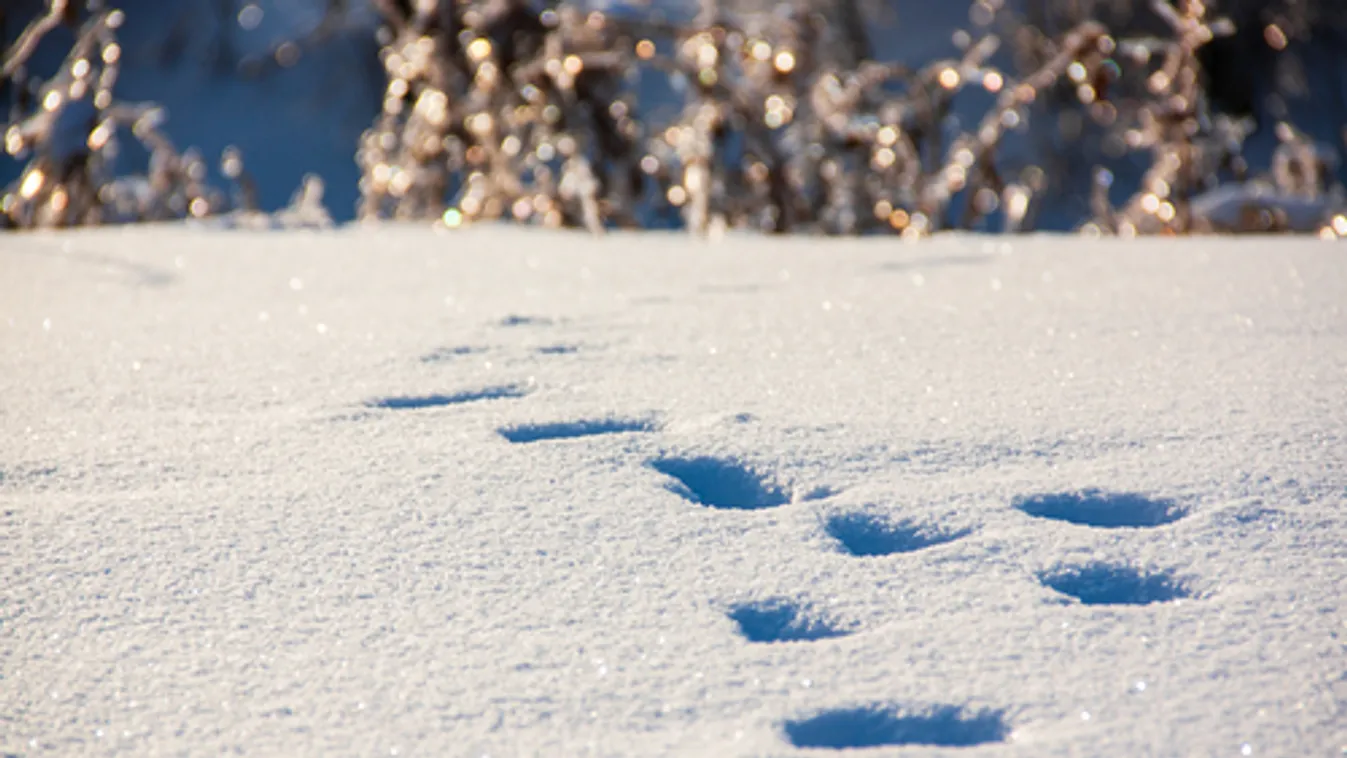 Melegszik az idő a jövő héten
