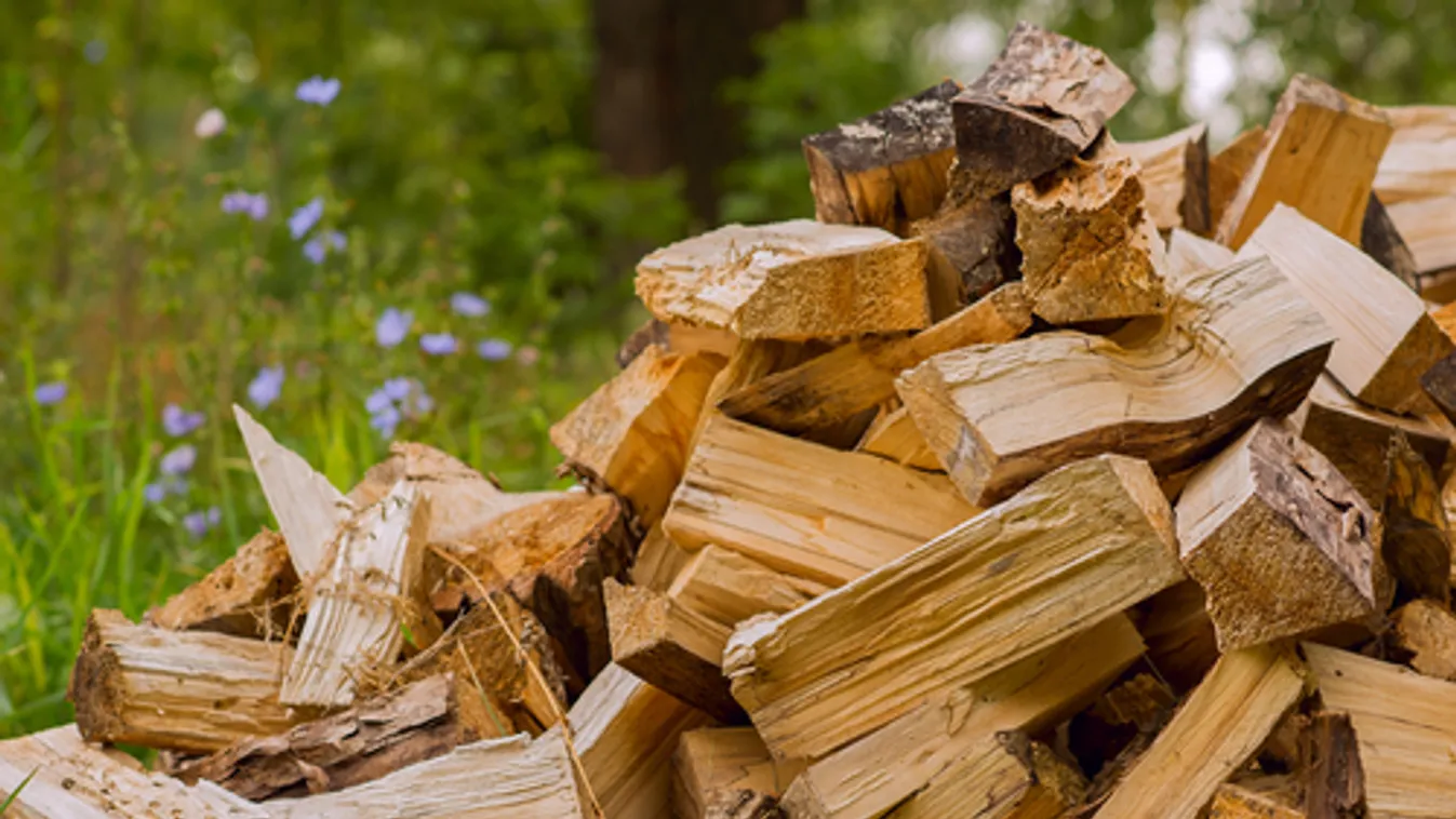 Tűzifát adományoz a Magyar Református Szeretetszolgálat