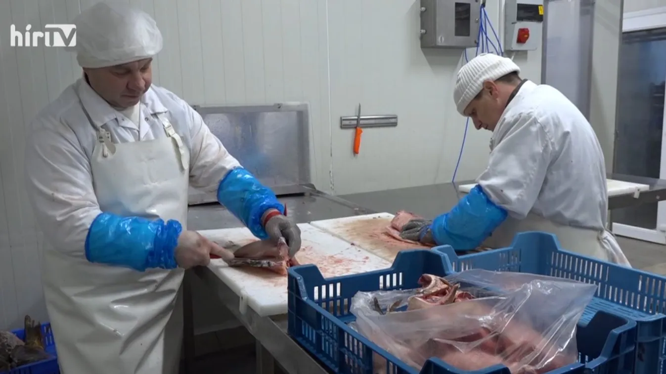 Soroló: Ugrásszerűen megnőhet a halfogyasztás