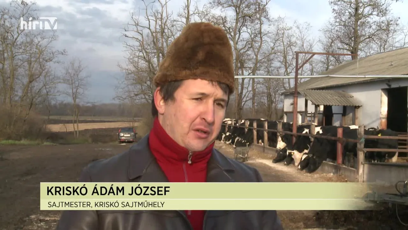 Soroló: Sajt minden mennyiségben Rábcakapiban