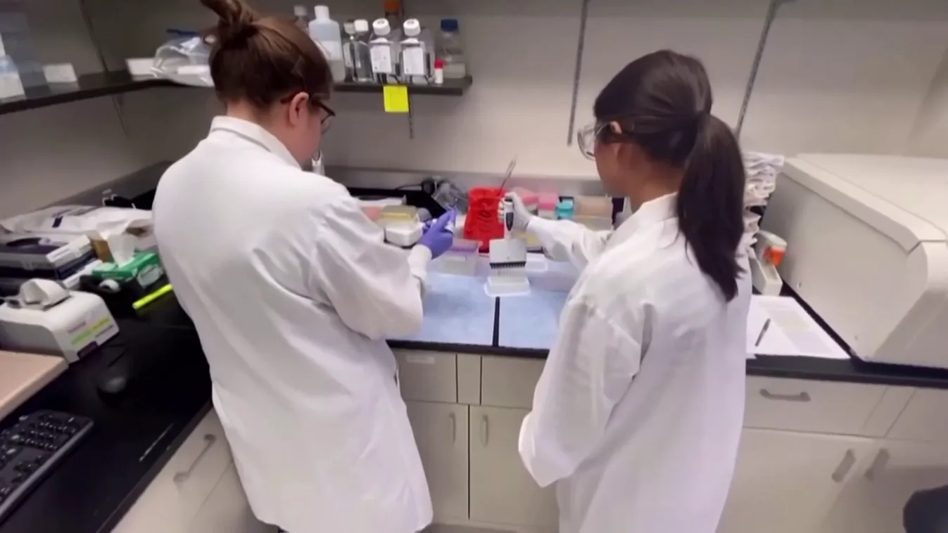 Megkezdte a Novavax oltóanyagának a vizsgálatát az Európai Gyógyszerügynökség