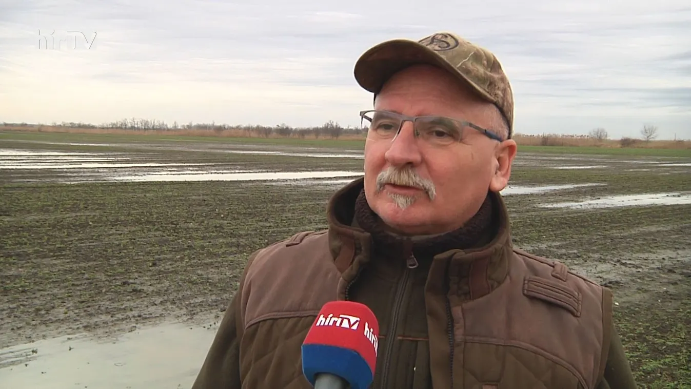 Jelentős terméskieséssel számolnak a karcagi gazdák a belvíz miatt