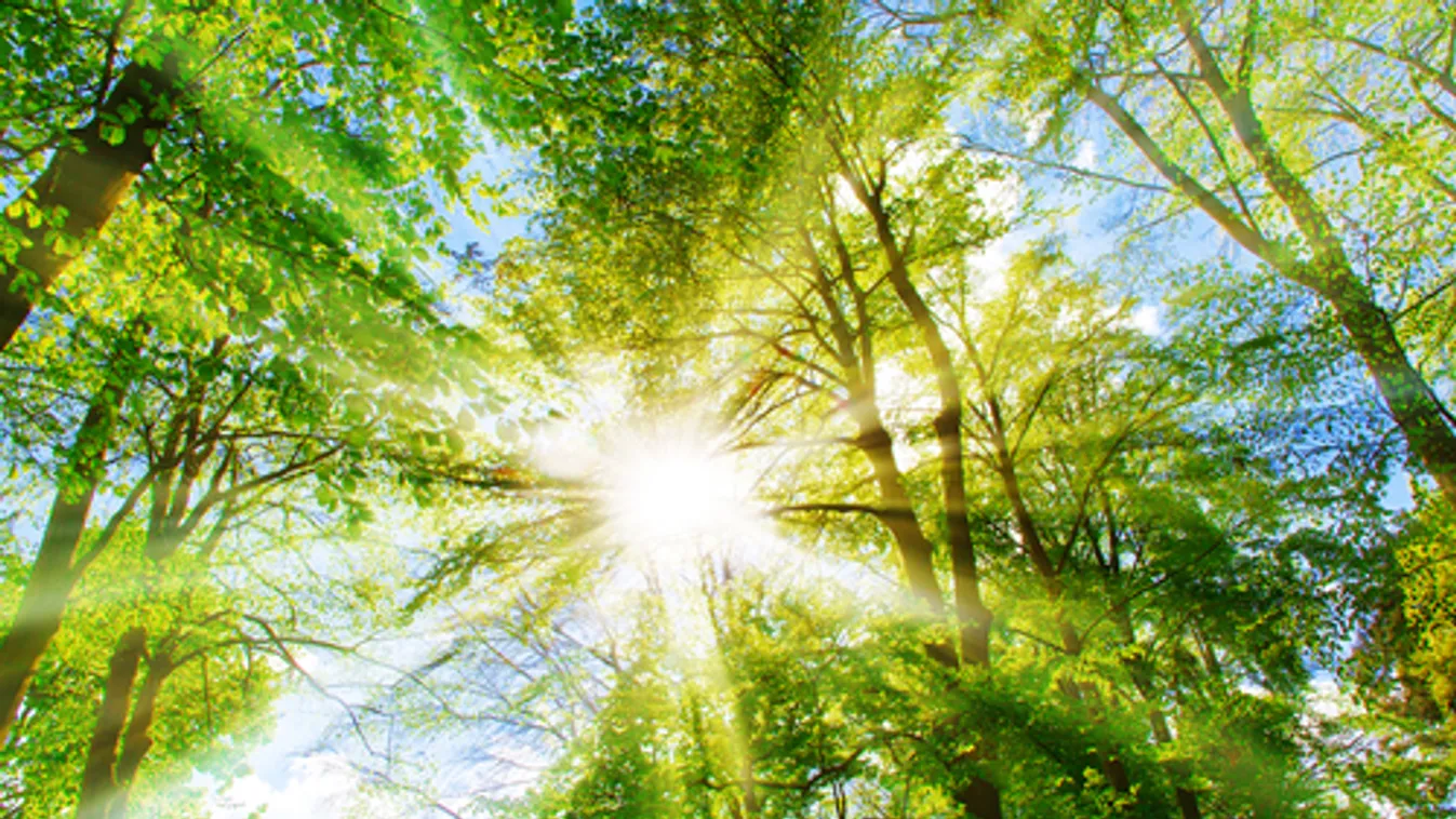 Helyenként 20 foknál magasabb hőmérsékletet is mértek szerdán