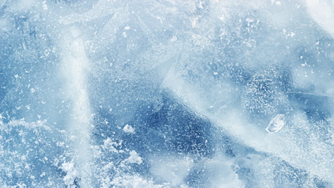 Az északi-sarkvidéki jégveszteség miatt jóval nagyobb energiára van szükségük az állatoknak