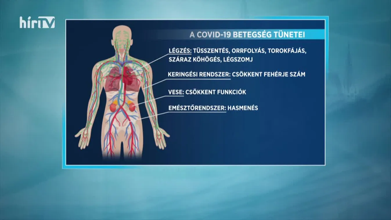 Magyarország élőben extra Dr. Kenyeres Zsuzsannával (2021-02-10)