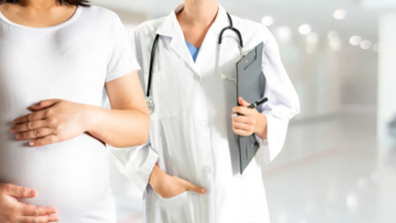 Átadták a tulipános osztályt a Semmelweis Egyetem Szülészeti és Nőgyógyászati Klinikáján