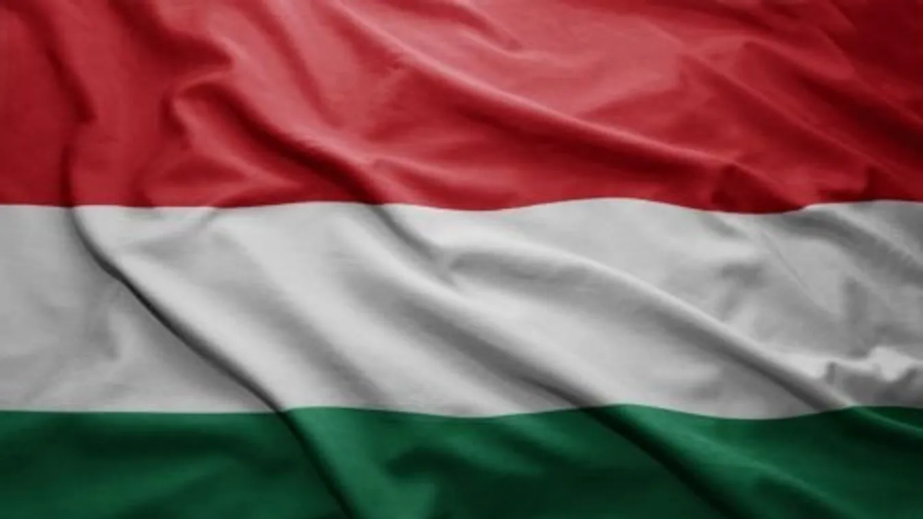 Rajz- és esszépályázatot hirdettek a magyar zászló és címer emléknapja alkalmából