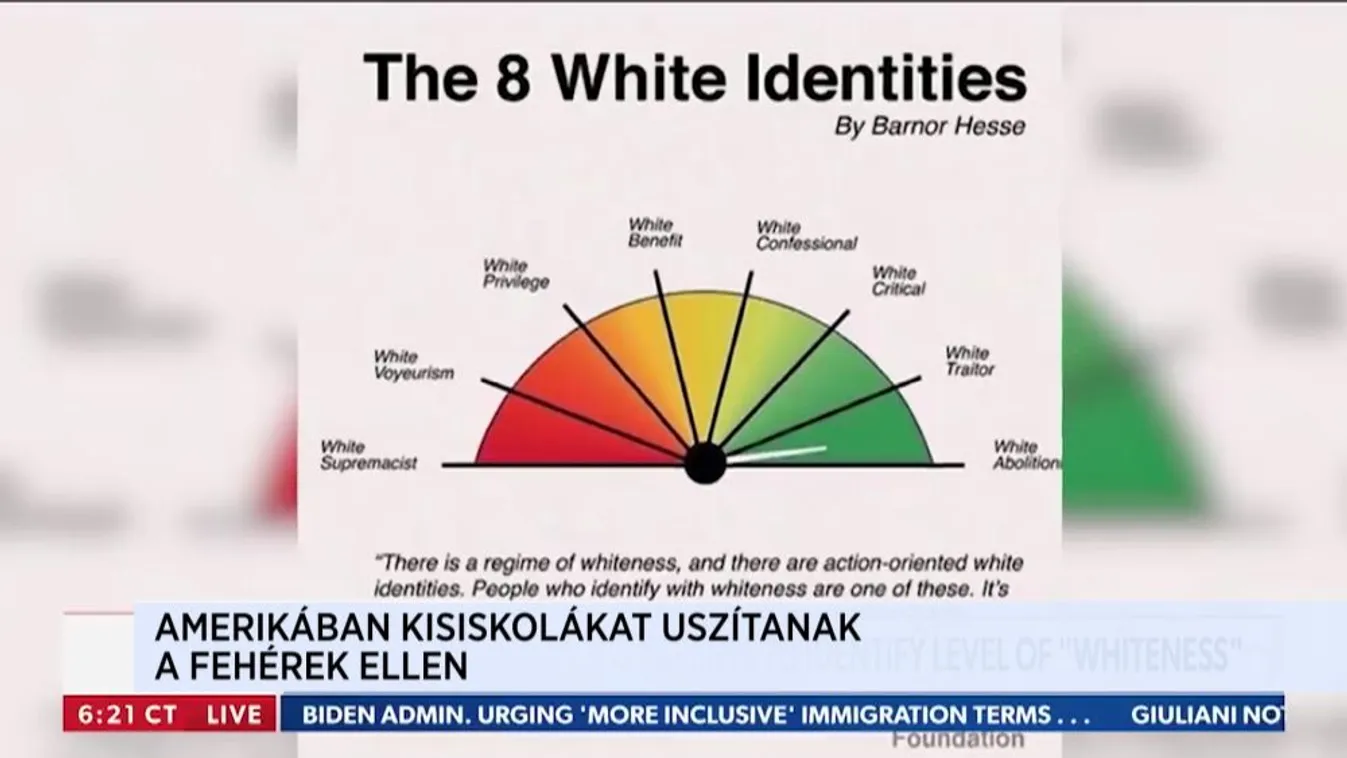 Amerikában kisiskolákat uszítanak fehérek ellen