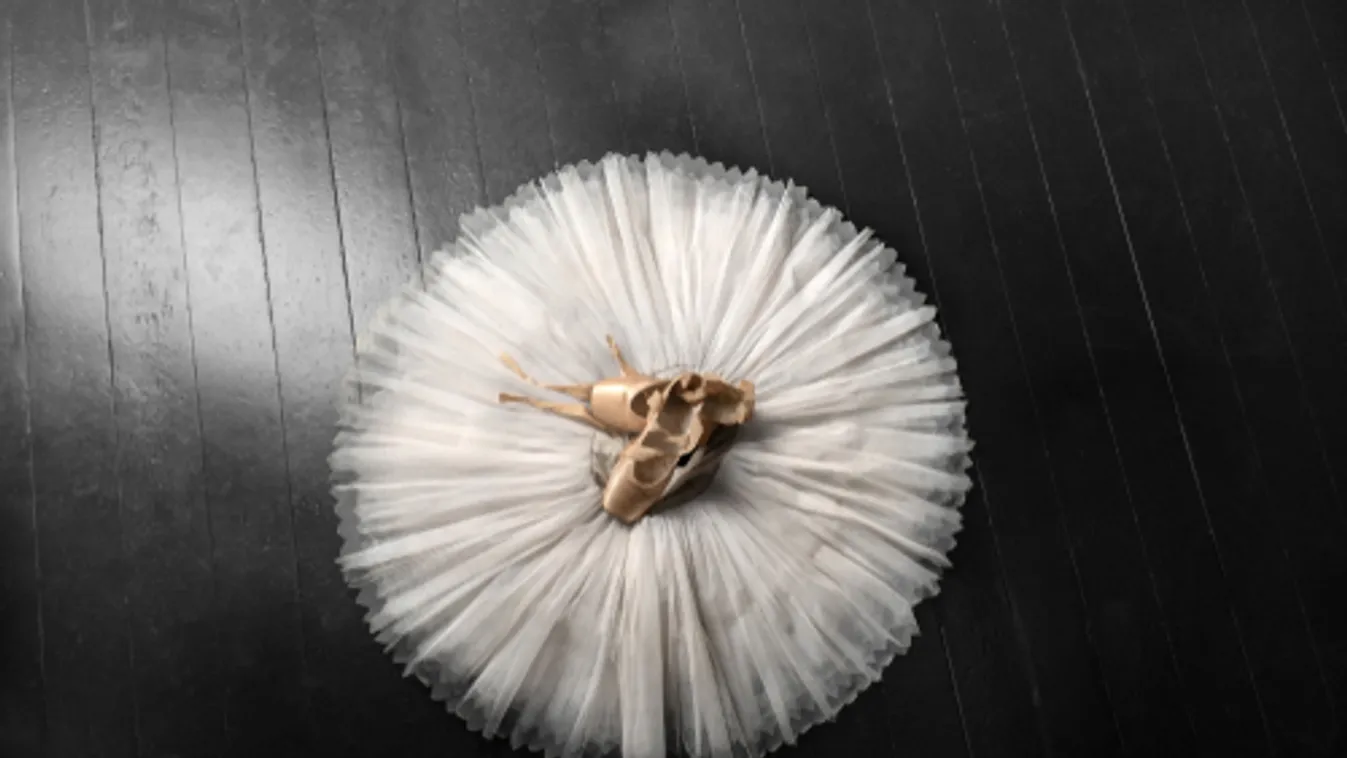 Online tánctanító projektet indít az idén hatvanéves Pécsi Balett