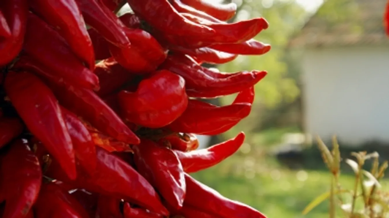 Nagy István: 930 millió forint jut idén a hungarikum pályázatra