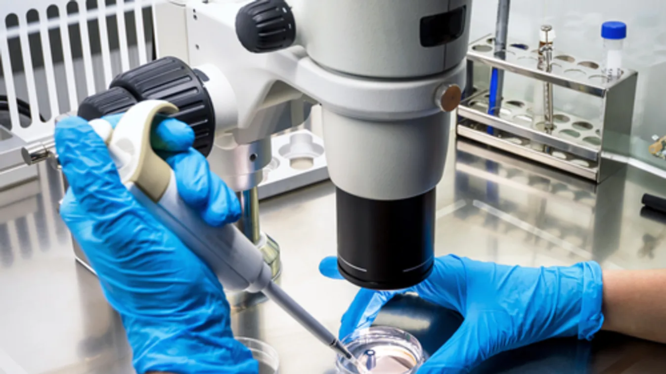 Várhatóan 1,27 millió emberéletet követelnek a rákbetegségek idén az Európai Unióban