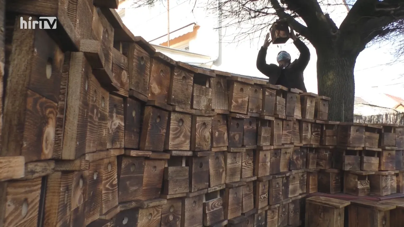 Civil kezdeményezésből indul természetvédelmi program a Dunakanyarban