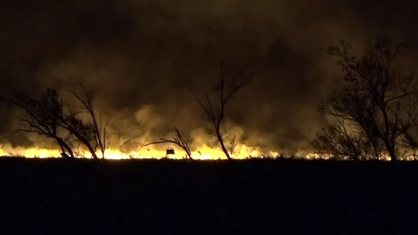 Országosan védett lápot is érintett a fonyódi nádastűz