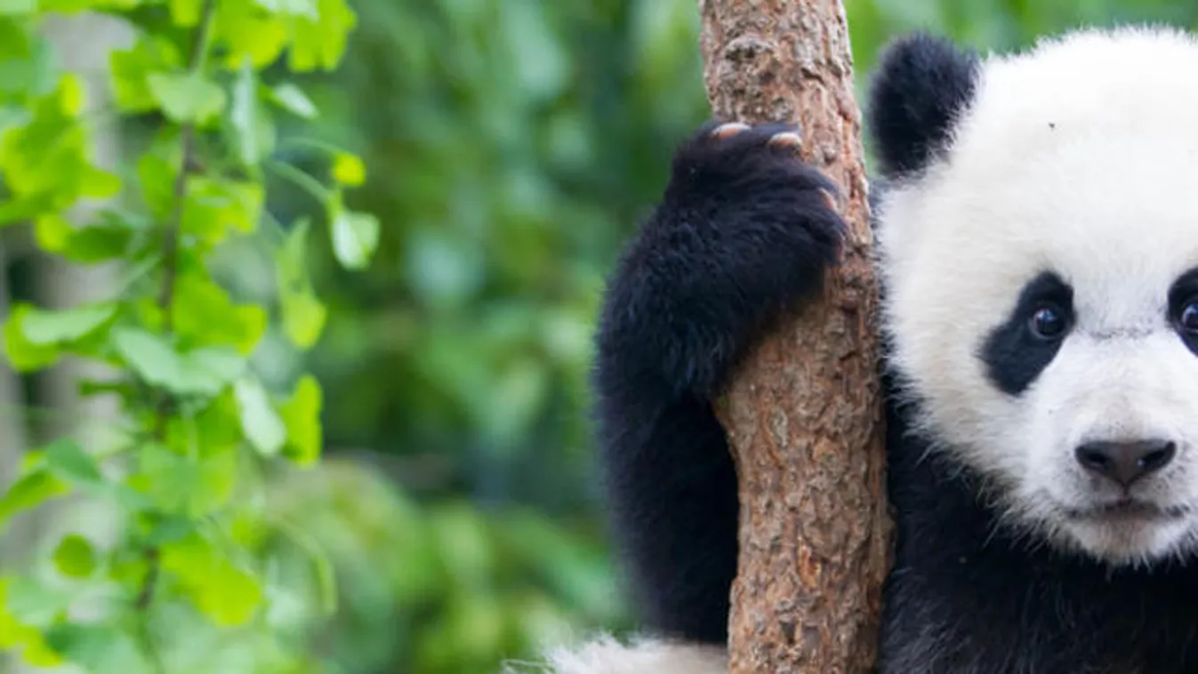 Idén március 27-én lesz a Föld órája