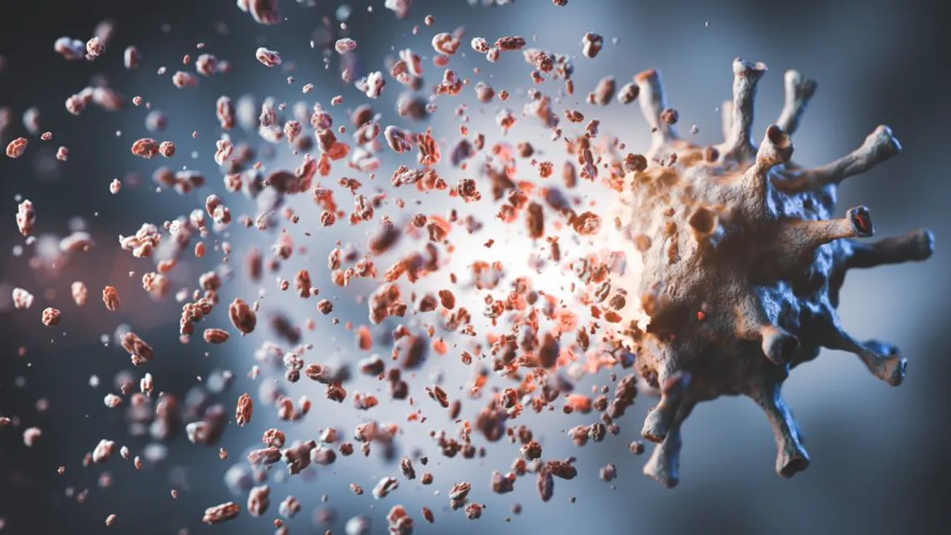 Az ultrahang képes lehet károsítani a koronavírusokat