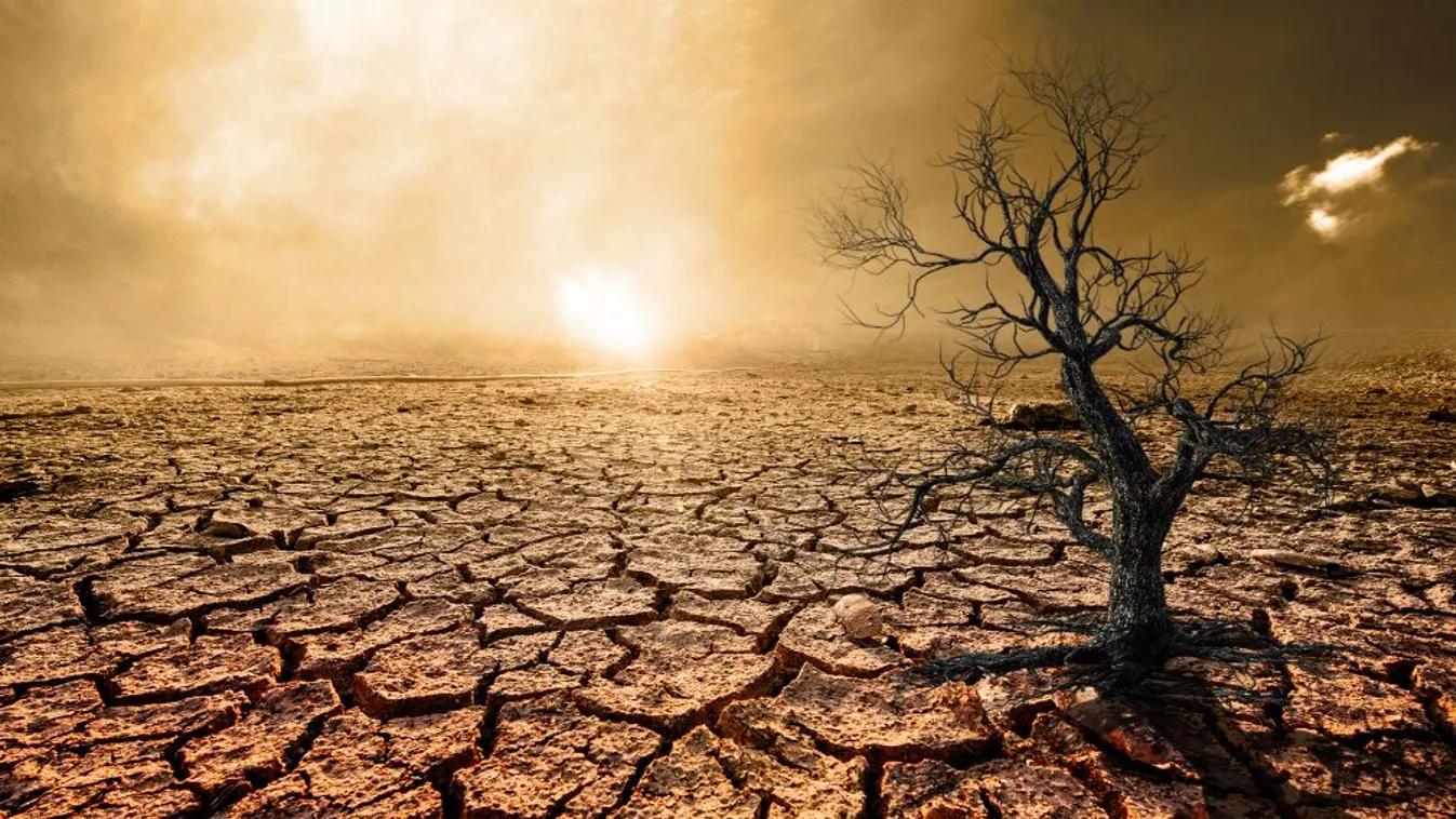 A vízválság megelőzésének fontosságára hívta fel a figyelmet a köztársasági elnök