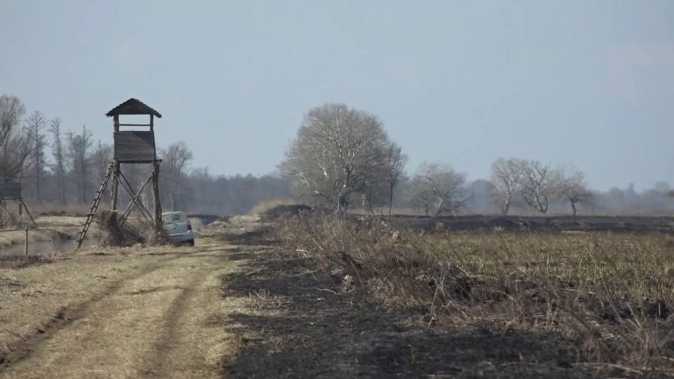 Zöldövezet: élet a pusztulás után