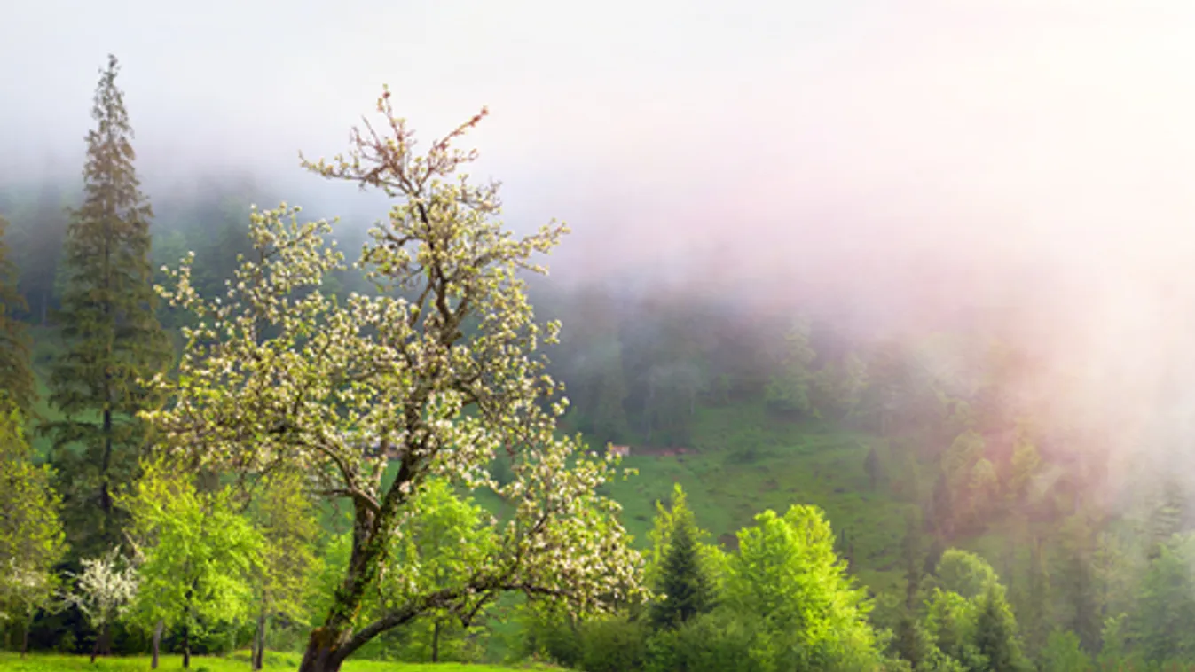 Melegszik az idő a jövő héten