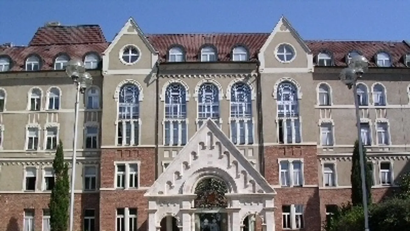 A járvány pozitív élményeit bemutató fotók készítőinek hirdet pályázatot a Pécsi Tudományegyetem