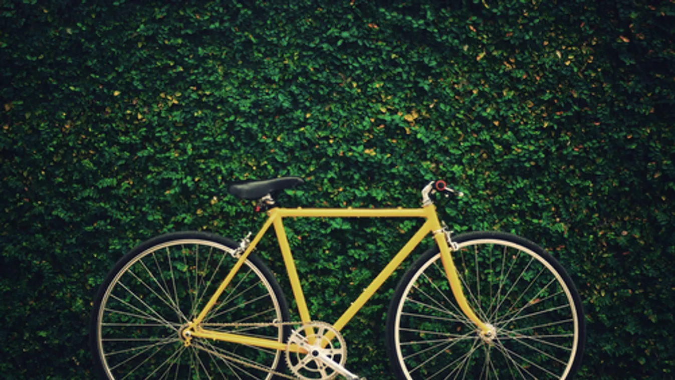 Októberig díjmentesen szállíthatók a kerékpárok hétvégente a BKK járatain és a HÉV-en