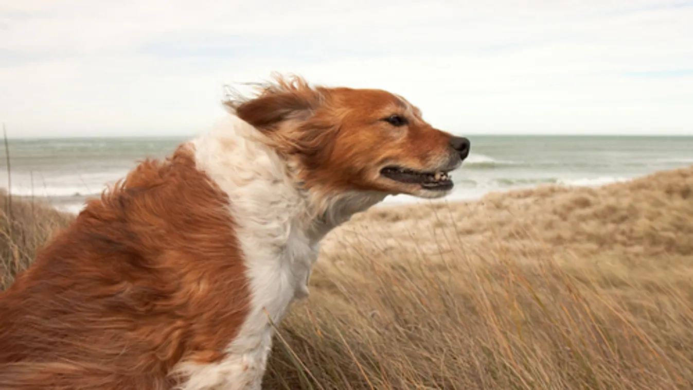 Változékony, hűvös, szeles